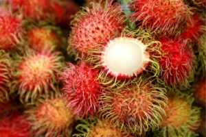 BASF launches three new active ingredients derived from the rambutan tree